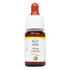 Комплекс для профілактики нервової системи Guna Fiori di Bach flowers White chestnut 10 ml