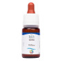 Комплекс для профілактики нервової системи Guna Fiori di Bach flowers Willow 10 ml