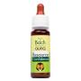 Комплекс для профілактики нервової системи Guna Fiori di Bach flowers Resource Confidence 20 ml