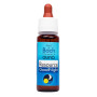 Комплекс для профілактики нервової системи Guna Fiori di Bach flowers Resource Good night 20 ml