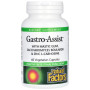 Покращення роботи кишечника Natural Factors Gastro-Assist with Mastic Gum, Saccharomyces Boulardii & Zinc L-Carnosine 60 Veg Caps