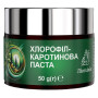 Комплекс для травлення Лісохімік Хлорофіл-каротинова Паста 50 g /100 порцій/
