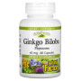 Комплекс для профілактики роботи головного мозку Natural Factors Herbal Factors Ginkgo Biloba Phytosome 60 Caps