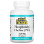 Лецитин Natural Factors Phosphatidyl Choline (PC) 420 mg 90 Softgels