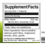 Суміш екстрактів Swanson Bitter Melon 500 mg 60 Caps