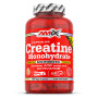 Креатин моногідрат Amix Nutrition Creatine Monohydrate 220 Caps