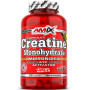 Креатин моногідрат Amix Nutrition Creatine Monohydrate 800 mg 220 Caps