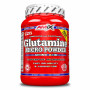 Глютамін для спорту Amix Nutrition L-Glutamine 1000 g /100 servings/