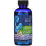 Трав'яні ферменти Mommy's Bliss Night Time, Gripe Water, 1 Month+, 4 fl oz 120 ml BAB05410